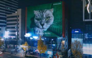 Samsung îi face reclamă camerei sale de 200 de megapixeli cu un afişaj uriaş… cu o pisică