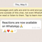 WhatsApp primeşte actualizarea mult aşteptată: emoji-uri ca reacţie la chat