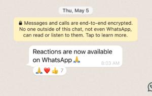 WhatsApp primeşte actualizarea mult aşteptată: emoji-uri ca reacţie la chat