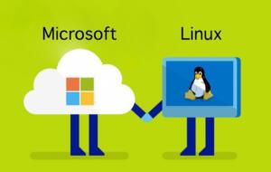 Microsoft te învață să instalezi… Linux, chiar pe site-ul oficial