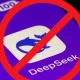 Autoritățile germane cer interzicerea DeepSeek: trimite date în China