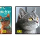 Samsung ar putea lucra deja la rivalul lui iPhone Fold