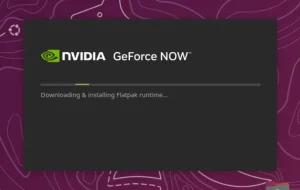 NVIDIA GeForce Now este disponibilă nativ pe Linux